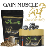 GAIN MUSCLE                                        Special for Bullys
